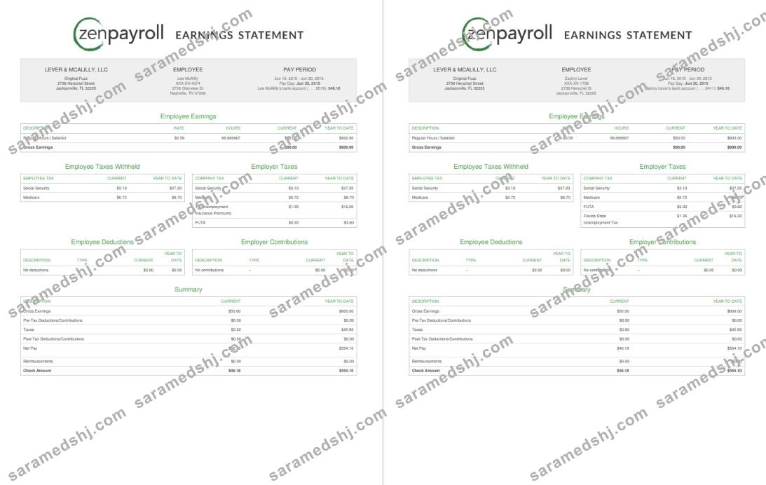 Zenpayroll Earnings statement
